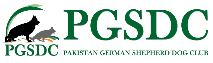PKC logo