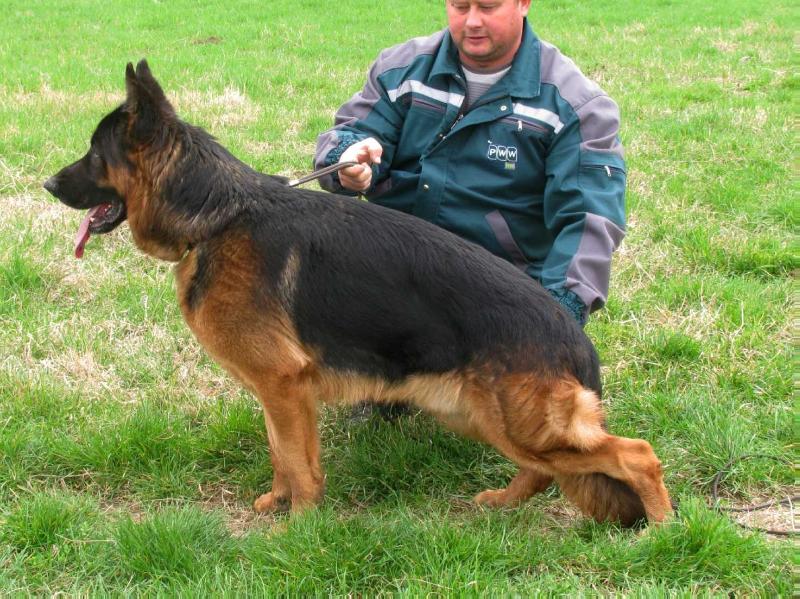 Poto od Stojkovica