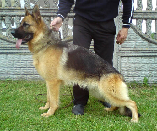 TOSKA Kabi