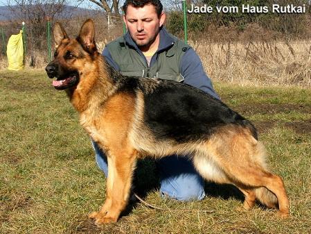 Jade vom Haus Rutkai 