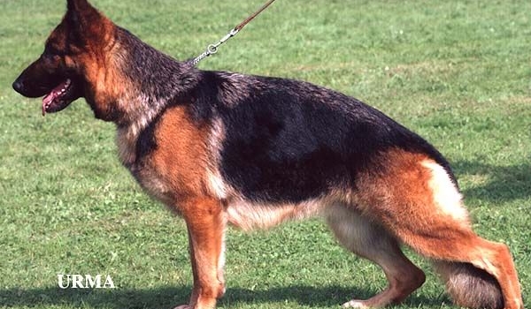 Zita von Ramona