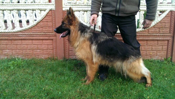 Wera KABI