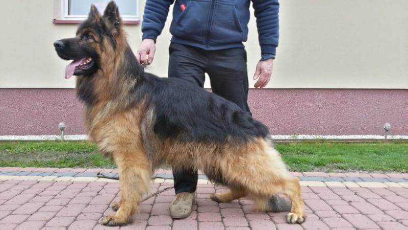 ORKAN Kabi