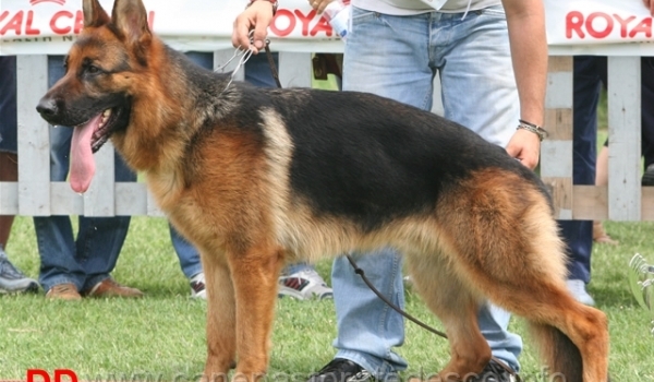 Deko dell Utveggio