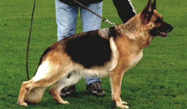 Una von Oxsalis