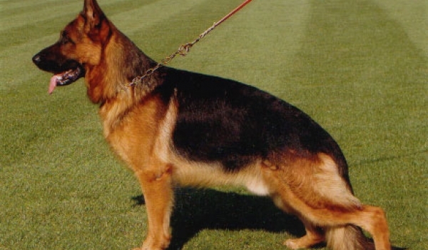 Cayos von Fidelius
