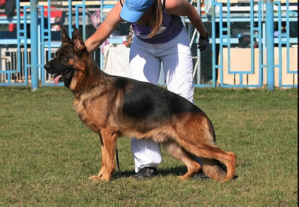 Shao-Lin 