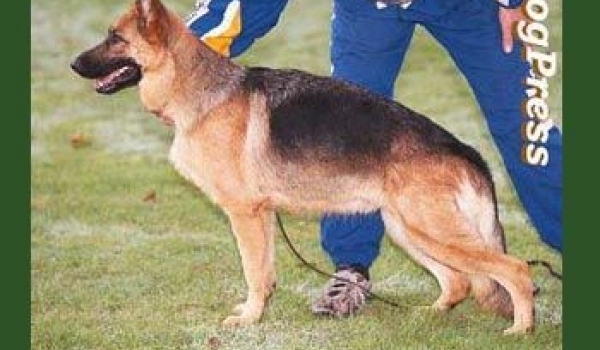 Tina vom Arkanum