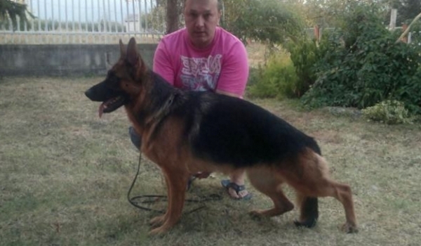 Milla od Petkovica