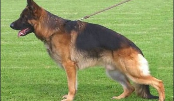 Orbit von Tronje