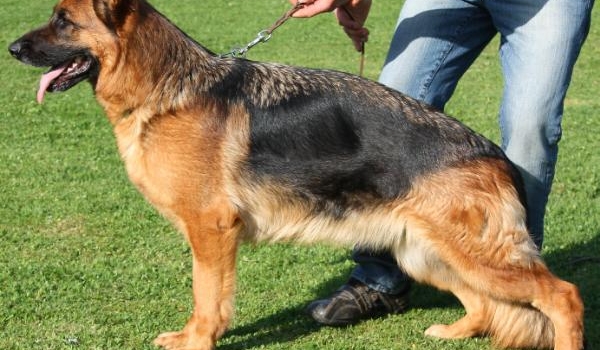 Milana von der Bärenschlucht