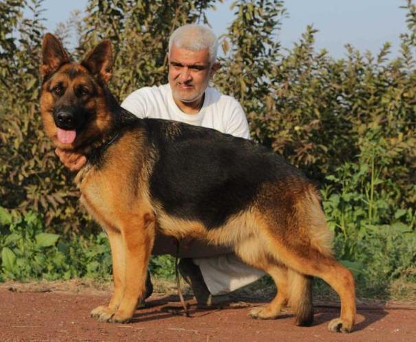 Jenne aus Voilet Land