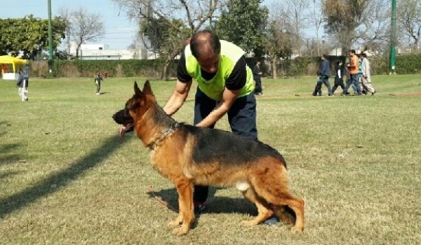 Wizard von der Piste Trophe