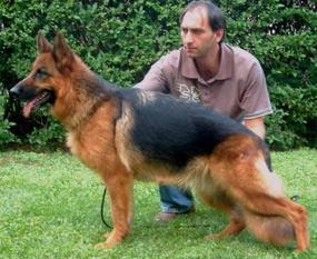 Yessica vom Fichtenschlag