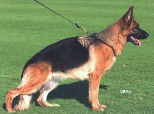 Uschka vom Osterberger-Land