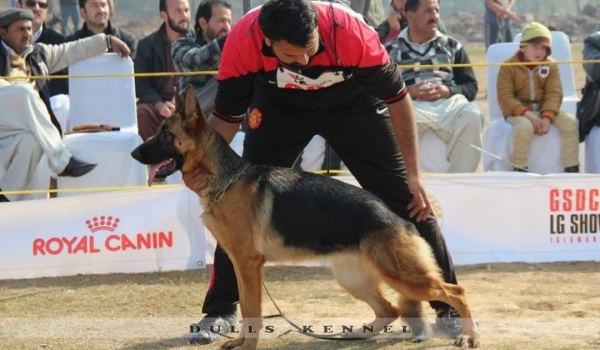 Angela vom Sandal Land