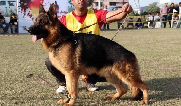 Diego vom Titus Batiatus