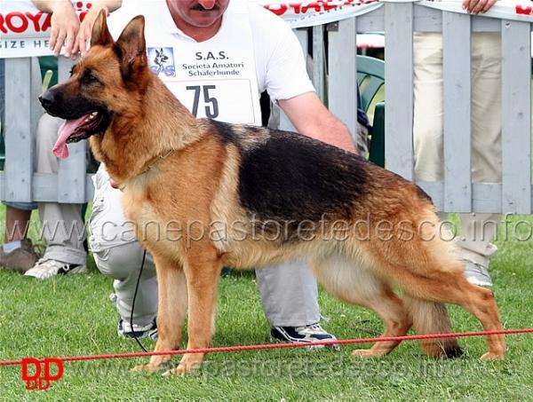 Zeta del Murnighello