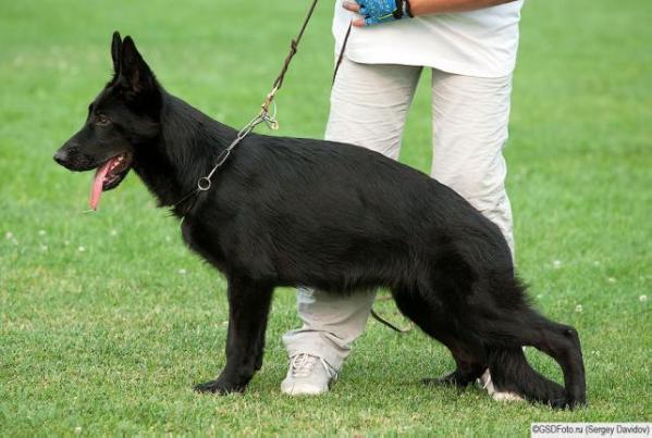 Zilber Wasserfall Shuvani