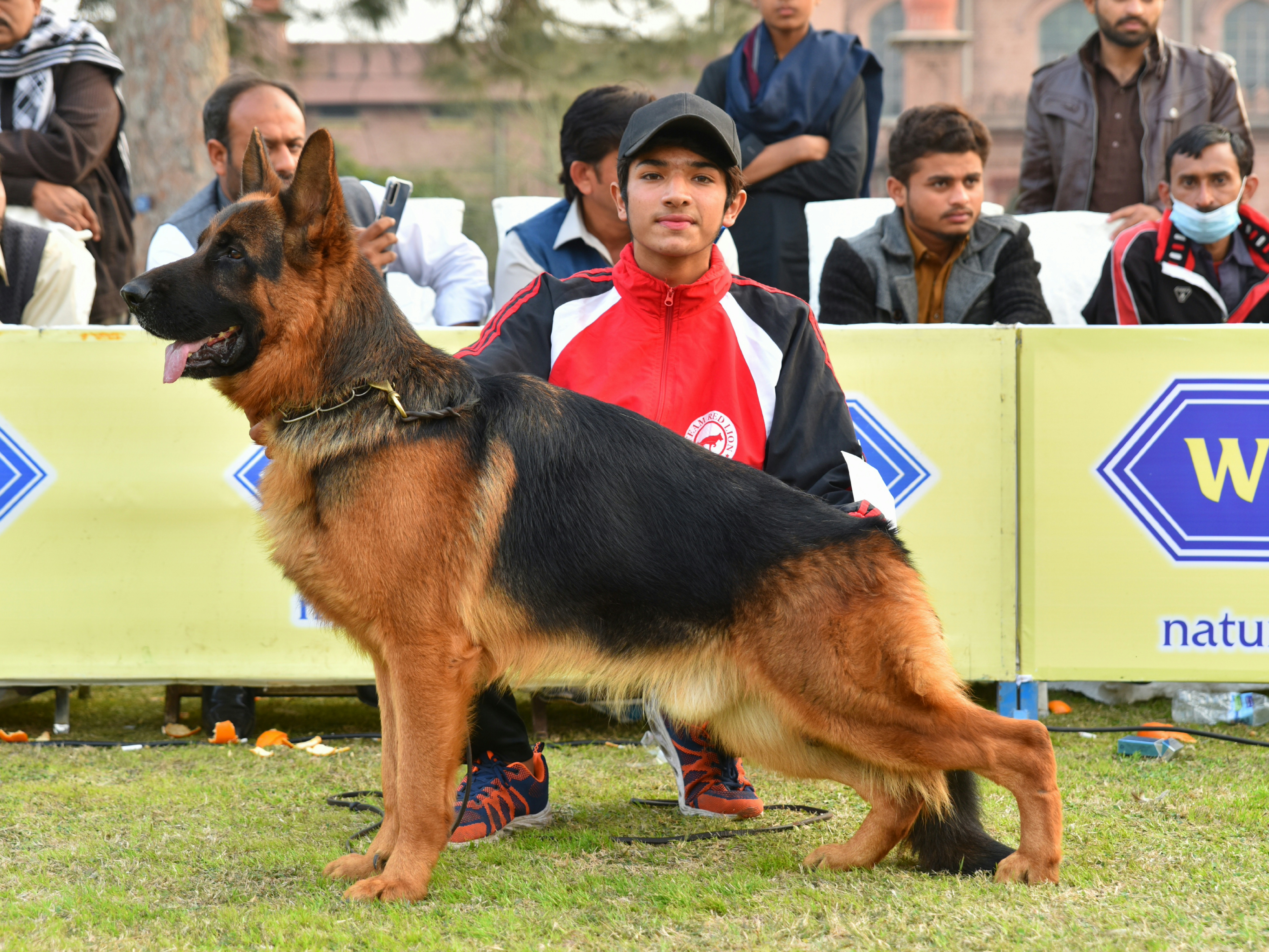 Cairo vom Team Friends