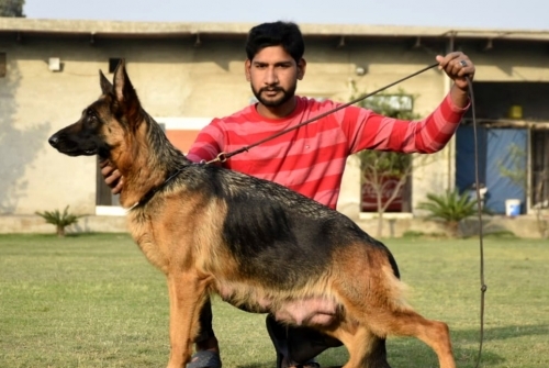 Mini vom Team Friends