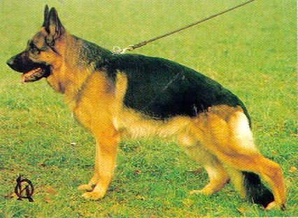 Hobby vom Gletschertopf