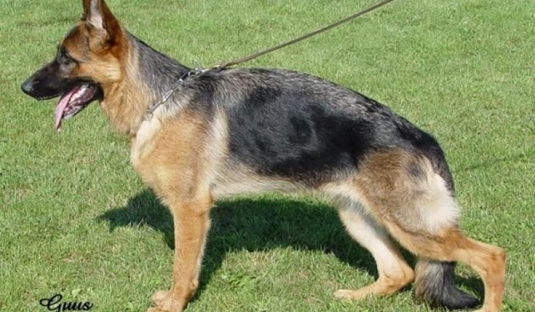 Lusi vom Wittelsbacher Schloß