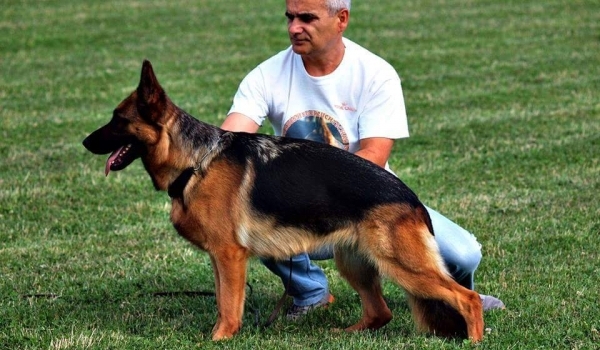 Engie von der Liebeswarte