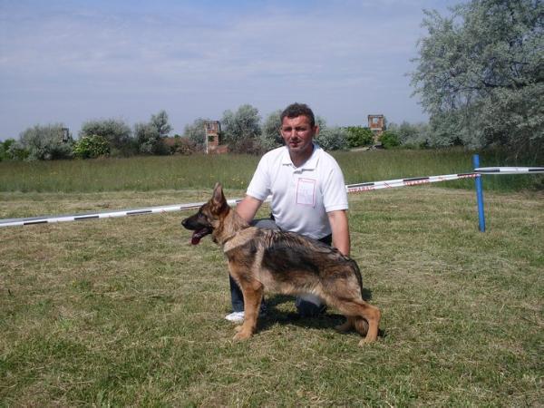 Chanel vom Csaba Haus 