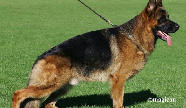 Etoo aus Wattenscheid