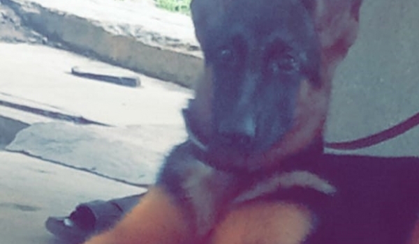 Amy di casa Gioco Finito