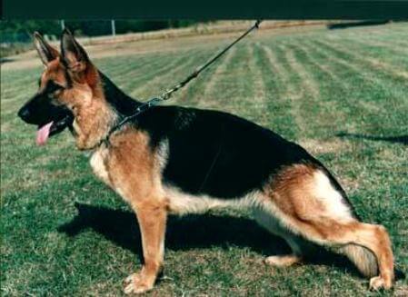 Caty vom Farbenspiel