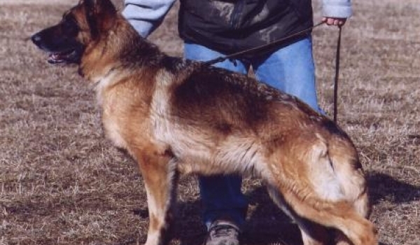 Toska zum Gigelsfelsen