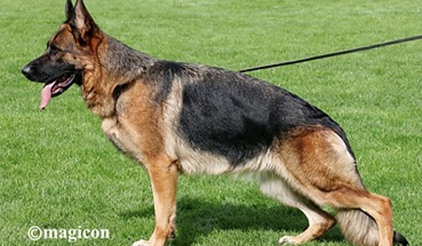 Lana von der Zenteiche