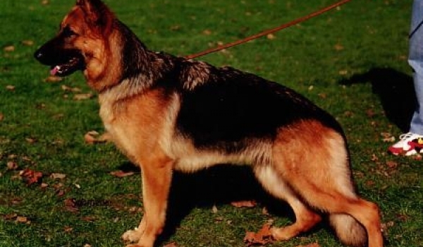 Farina von der Urbecke