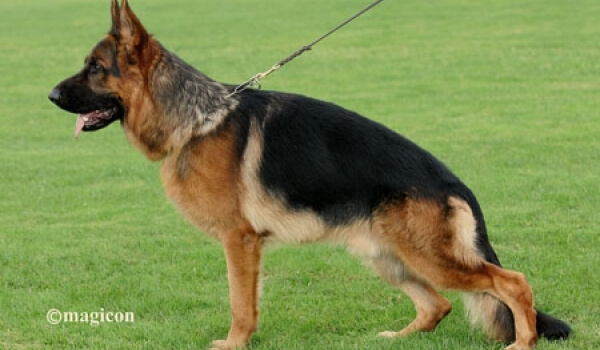 Unkas vom steilen Ufer