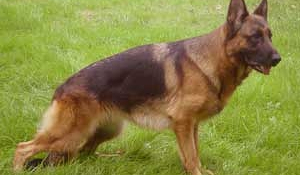 Gilda I di Casa Mary