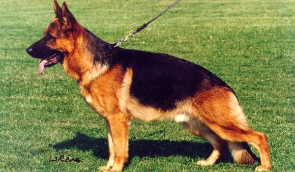 Yasko vom Farbenspiel