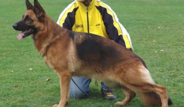 V * Tina von den zwei Steinen