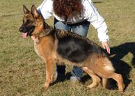 Mimmi vom Hauswalder Bach