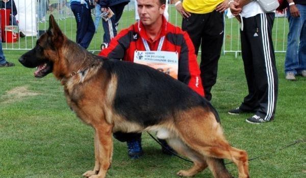 Zoran von der Zenteiche