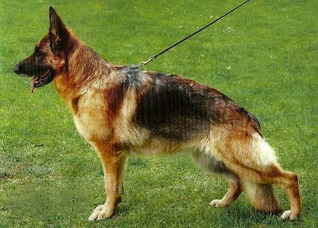 Edna vom Holtkamper See