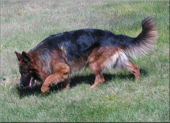 Dario vom Team Baierblick