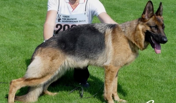 Zadana vom Holtkämper See