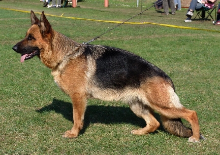 Flikka von der Leiegegend