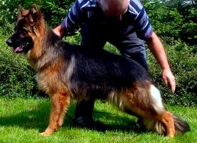 Troja z Wiecborskiej Doliny