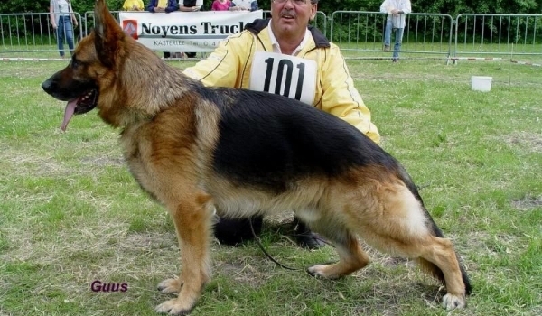 Emor vom Schimmelberg