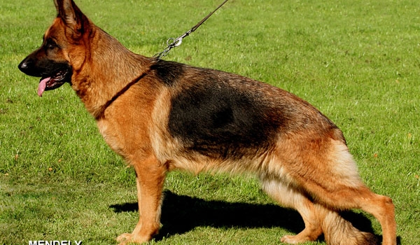 Fanny di Val del Lambro