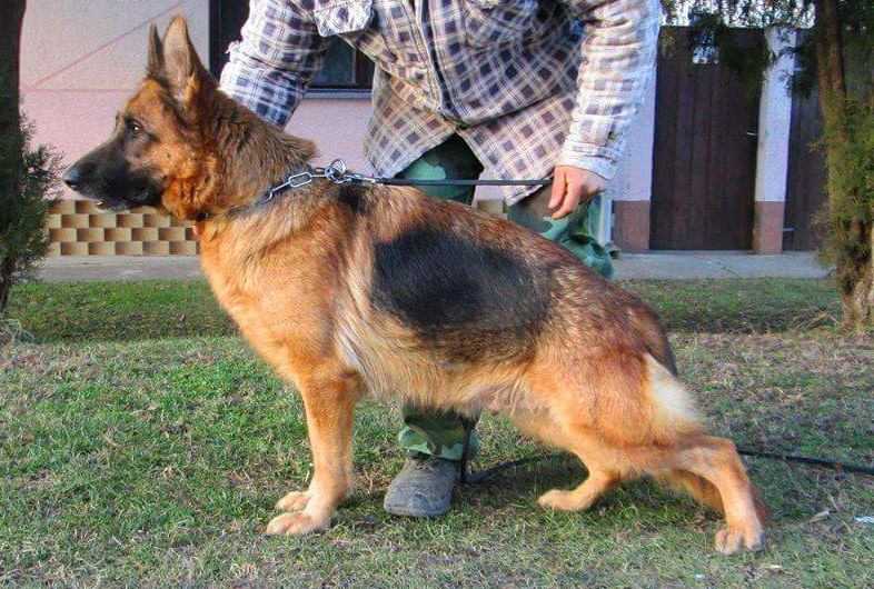 Elly von Haus Salamon Hof