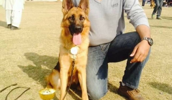 Aviary vom NDC Kings